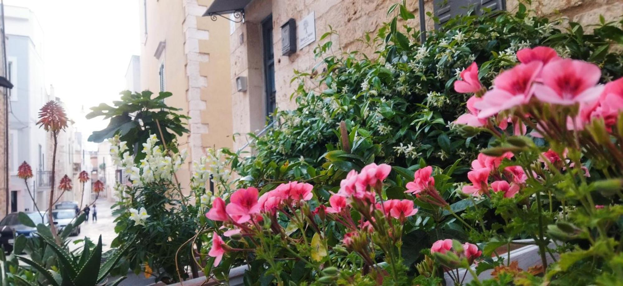Dimora Delle Badesse Bed and Breakfast Conversano Buitenkant foto